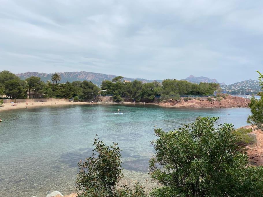 St Raphael 37m2, Piscine, Wifi, Commerces 5mn A Pieds Saint-Raphaël