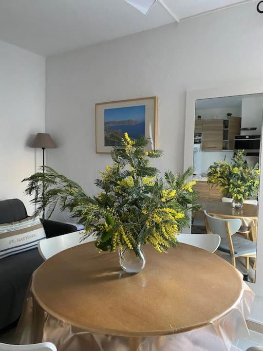 St Raphael 37m2, Piscine, Wifi, Commerces 5mn A Pieds Appartement