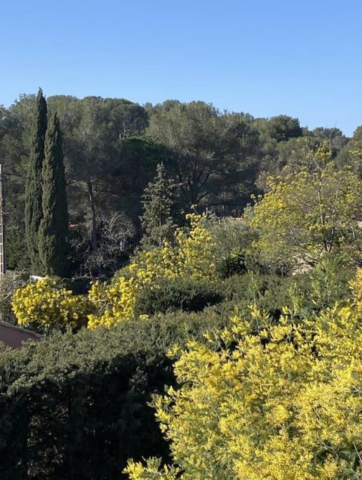 St Raphael 37m2, Piscine, Wifi, Commerces 5mn A Pieds *