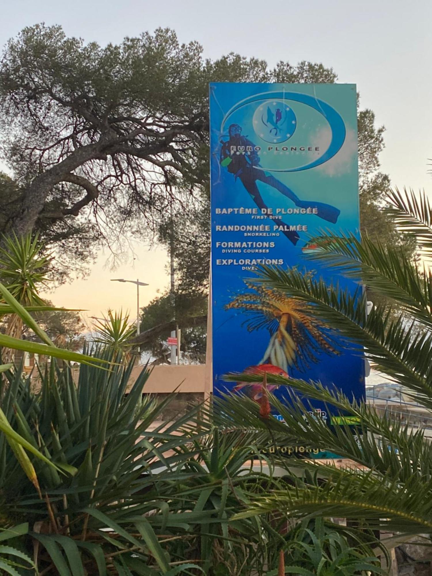 St Raphael 37m2, Piscine, Wifi, Commerces 5mn A Pieds Saint-Raphaël